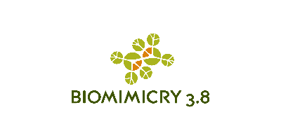 Biomimicry 3.8 jobs